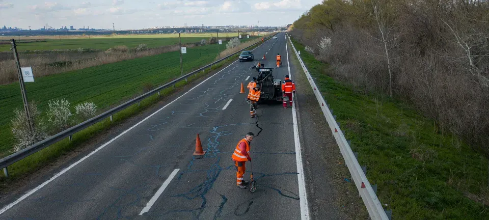 Creșterea Companiei DITO: Proiecte Noi și Extinderea Echipei